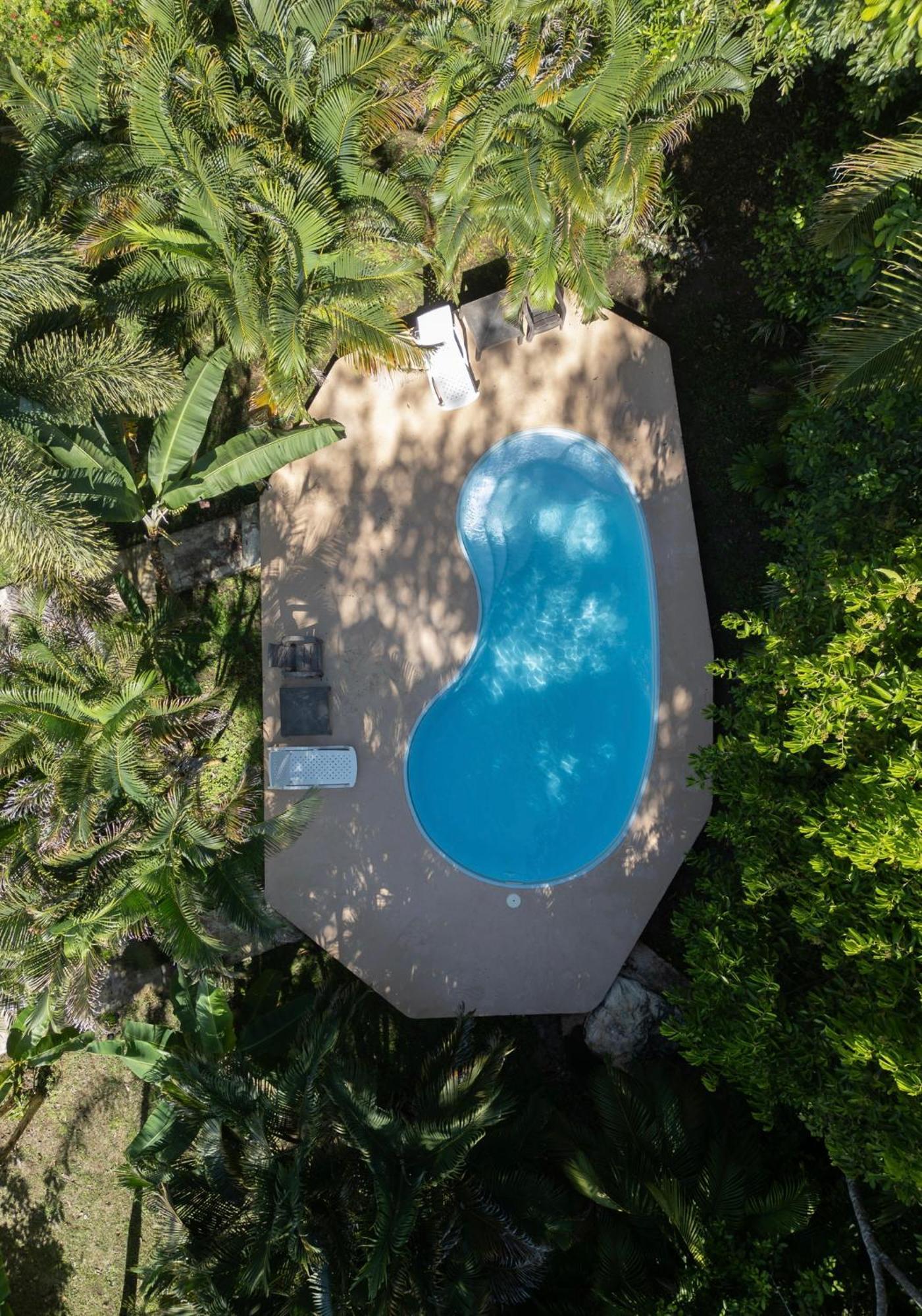 Bed and Breakfast Sol Y Sombra Bocas del Toro Exteriér fotografie